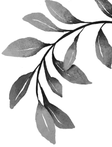 A hand-drawn collection of decorative leaves