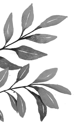 A hand-drawn collection of decorative leaves